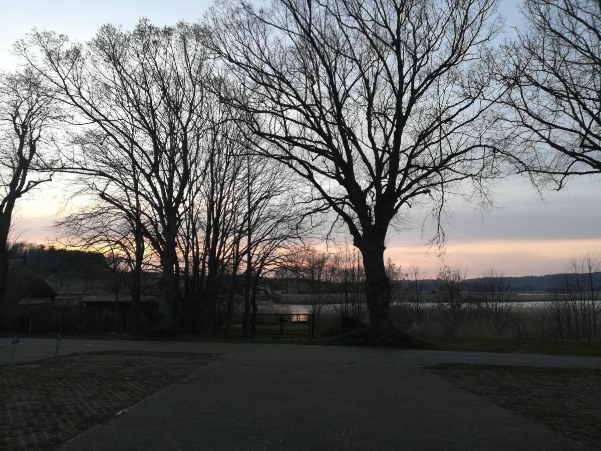 Sellin - Seedorf Am Neuensiener See Apartment 08 Eksteriør billede