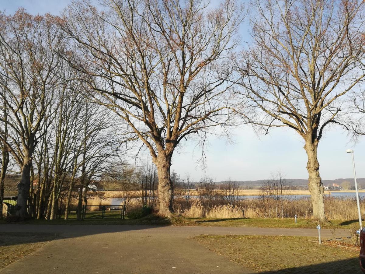 Sellin - Seedorf Am Neuensiener See Apartment 08 Eksteriør billede