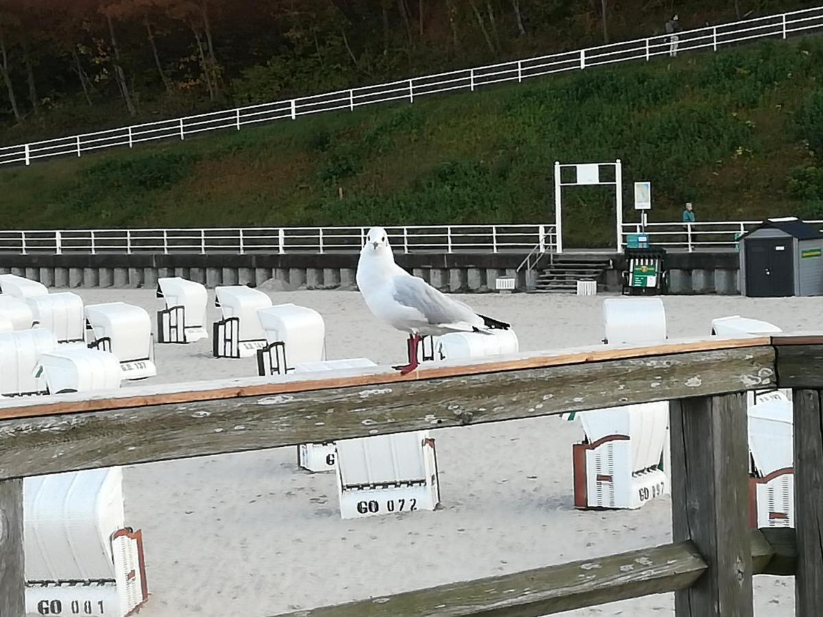 Sellin - Seedorf Am Neuensiener See Apartment 08 Eksteriør billede